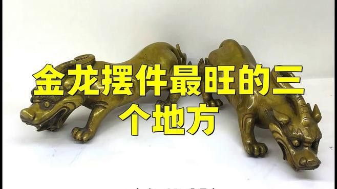 金龍魚名字的文化寓意