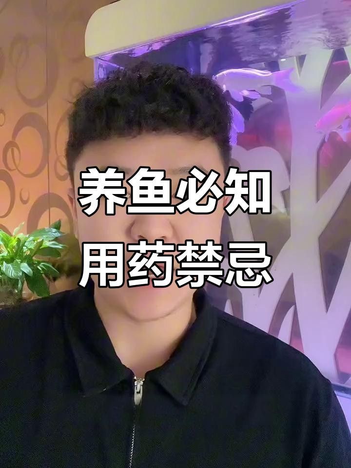龍魚病最忌三種藥（“龍魚病最忌三種藥”，新手必看，） 龍魚病最忌三種藥（“龍魚病最忌三種藥”，新手必看，） 觀賞魚百科 第4張