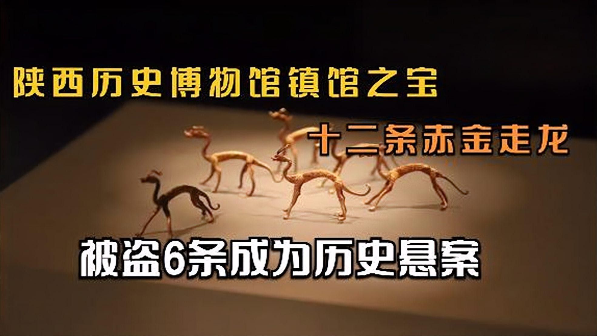 明代金龍藏品有哪些知名藏家？（金龍藏品有哪些知名藏家） 明代金龍藏品有哪些知名藏家？（金龍藏品有哪些知名藏家） 龍魚百科 第2張