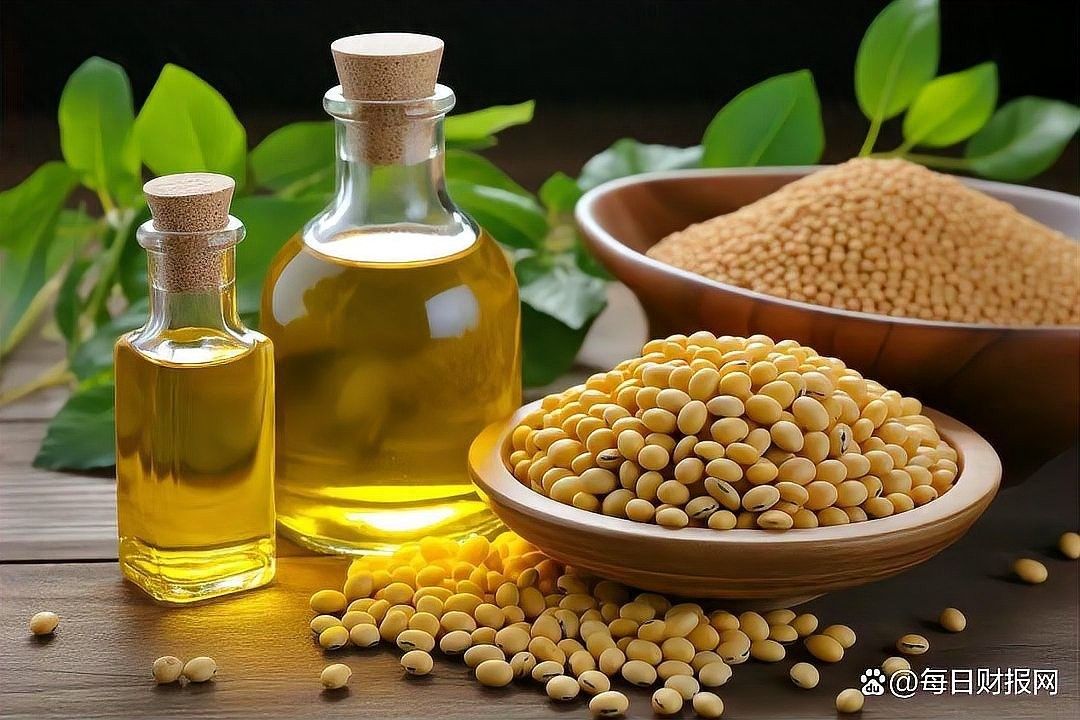 隆堯金龍魚價格2023最新價格（隆堯金龍魚價格2023最新） 隆堯金龍魚價格2023最新價格（隆堯金龍魚價格2023最新） 觀賞魚百科 第7張