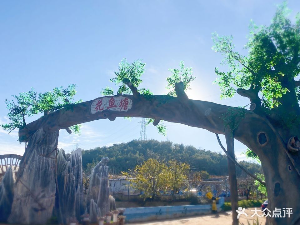 呈貢龍魚（云南省昆明市呈貢區(qū)呈貢龍魚）