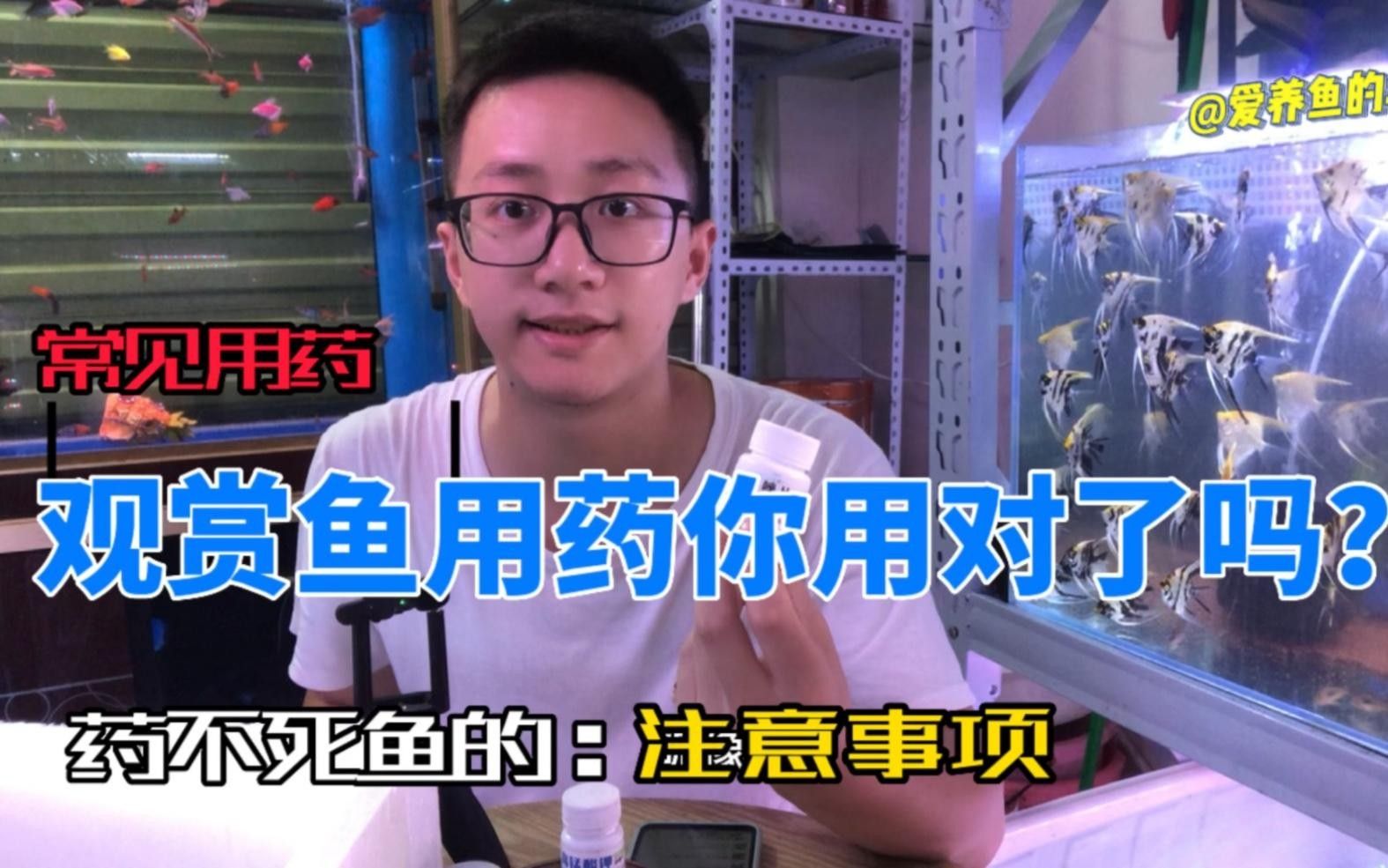 水族疾病觀賞魚（觀賞魚常見疾病及其防治方法） 水族疾病觀賞魚（觀賞魚常見疾病及其防治方法） 觀賞魚百科 第5張