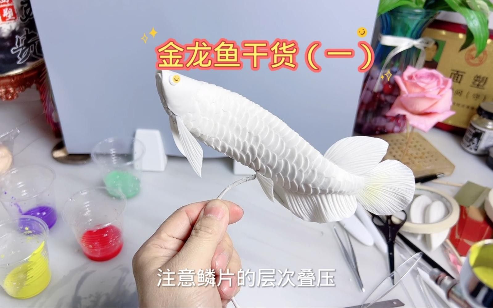 堆龍德慶金龍魚最簡單三個(gè)步驟（堆龍德慶金龍魚最簡單三個(gè)步驟清晰易操作）