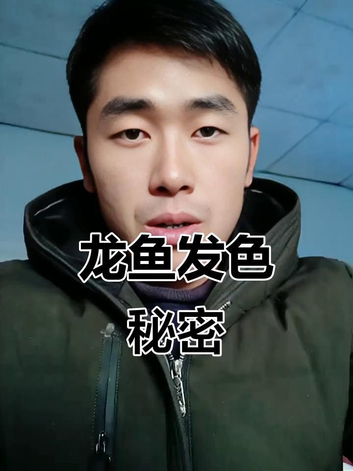 龍魚發色秘訣（實用秘籍龍魚上色技巧大揭秘龍魚發色提升秘訣）