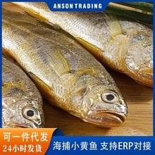 黃花魚的價格是多少（落日eueu雨田青黃花魚價格一覽，野生大黃魚和小黃魚價格一覽）
