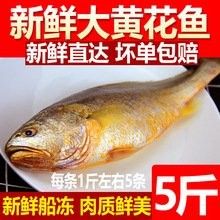 黃花魚的價格是多少（落日eueu雨田青黃花魚價格一覽，野生大黃魚和小黃魚價格一覽）