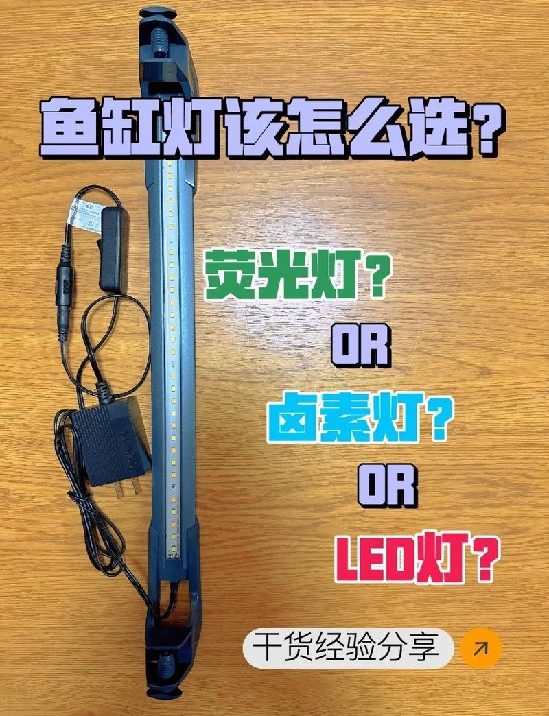 匯龍魚缸照明系統有哪些型號？