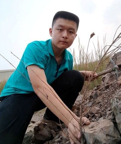 給我一些金龍魚化石的圖片（中國首次發現保存完美的金龍魚化石）