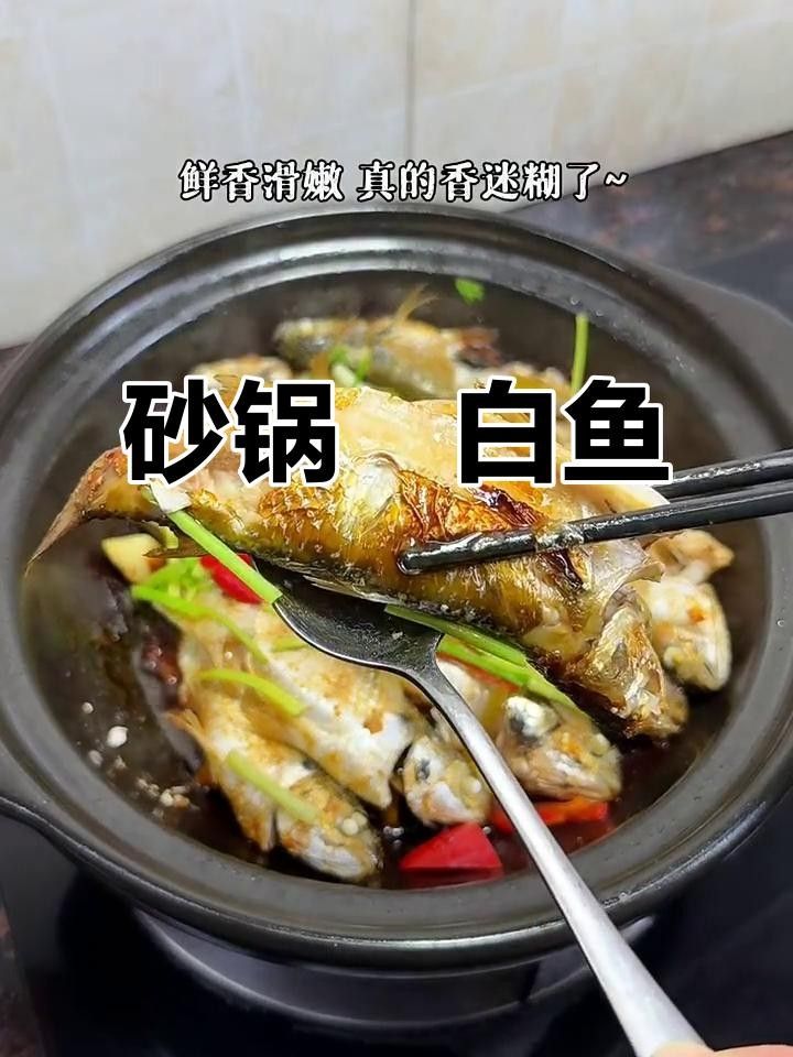 湛江白花魚（湛江白花魚是怎樣的一種魚雅歌湛江白花魚的養殖技術）