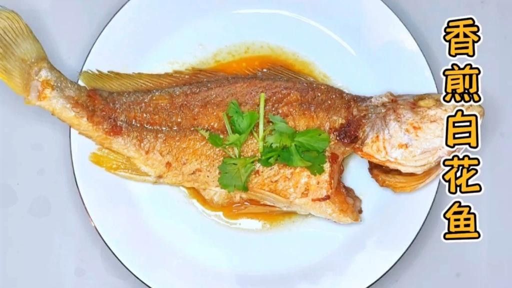 湛江白花魚（湛江白花魚是怎樣的一種魚雅歌湛江白花魚的養殖技術）