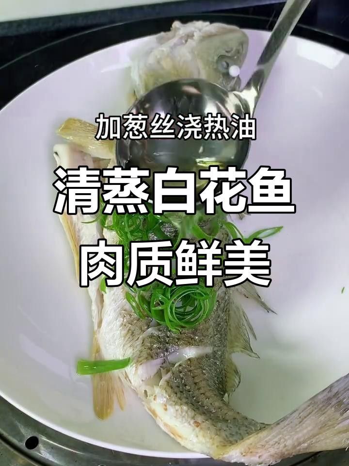 湛江白花魚（湛江白花魚是怎樣的一種魚雅歌湛江白花魚的養殖技術）