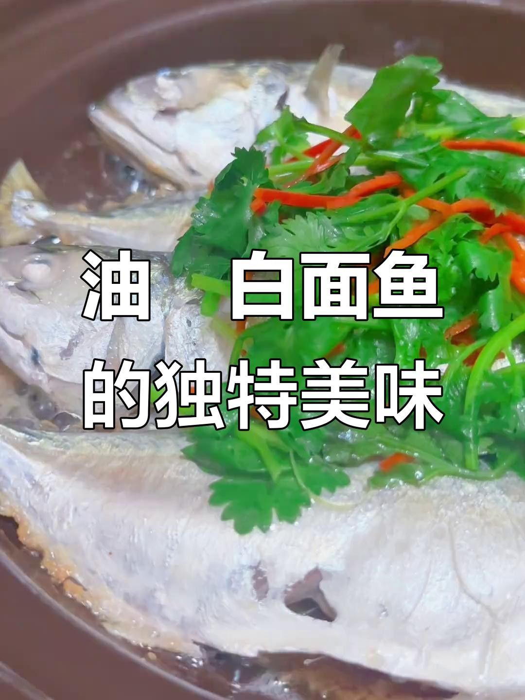 湛江白花魚（湛江白花魚是怎樣的一種魚雅歌湛江白花魚的養殖技術）