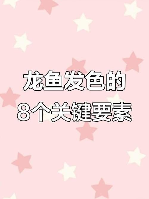 無錫紅龍魚（全網(wǎng)最詳細(xì)的養(yǎng)紅龍教程無錫紅龍魚的養(yǎng)殖技巧）