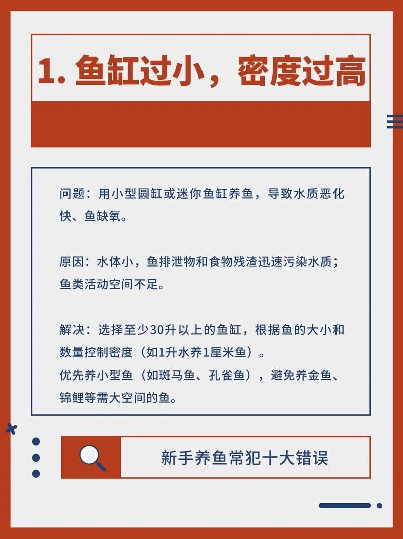 新手混養(yǎng)魚的最佳搭配有哪些？