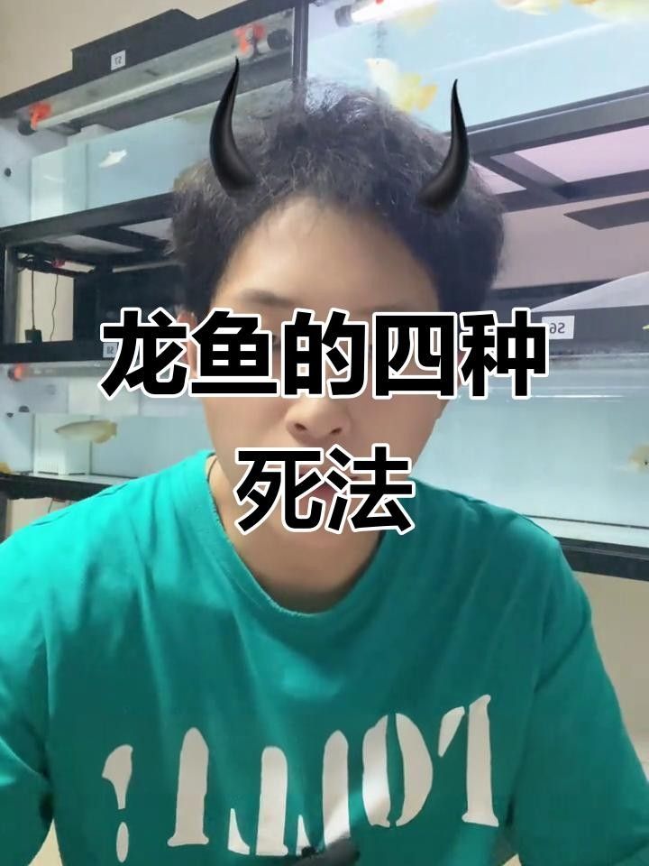 家養(yǎng)龍魚死了是兇是吉（家養(yǎng)龍魚突然死了是兇是吉?jiǎng)∮腥键c(diǎn)）