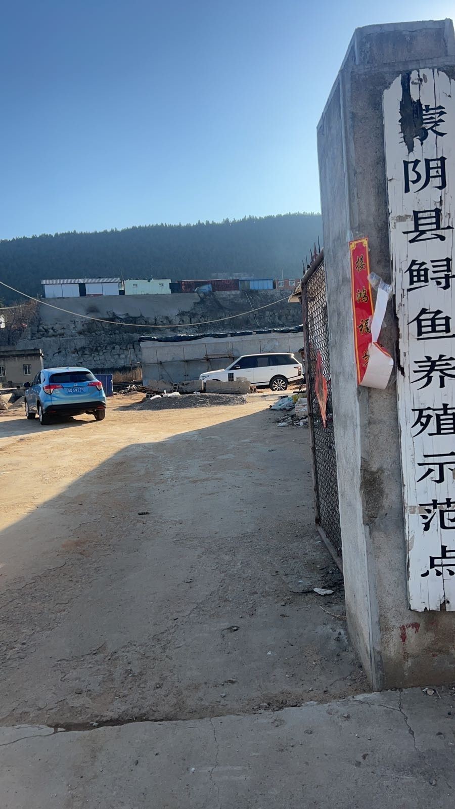 蒙陰龍魚（蒙陰千與千鱘龍魚養殖基地） 蒙陰龍魚（蒙陰千與千鱘龍魚養殖基地） 觀賞魚百科 第9張