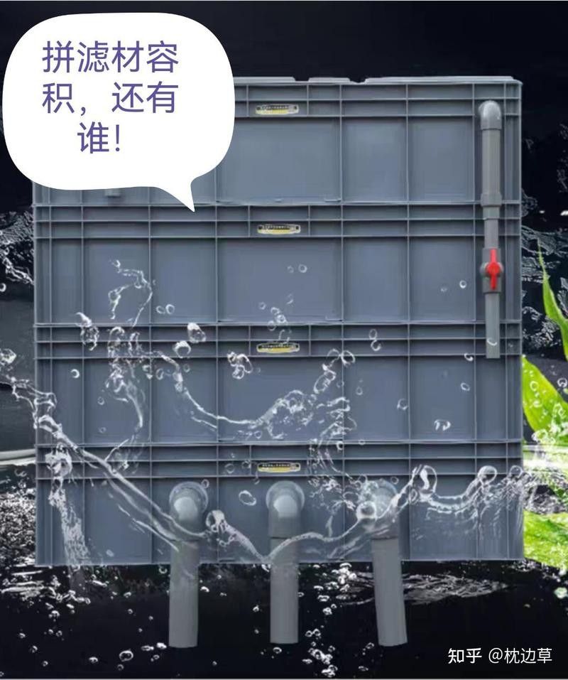四大神獸魚混養需要哪些設備（四大神獸魚混養需要準備哪些設備）