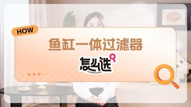 四大神獸魚混養需要哪些設備（四大神獸魚混養需要準備哪些設備）