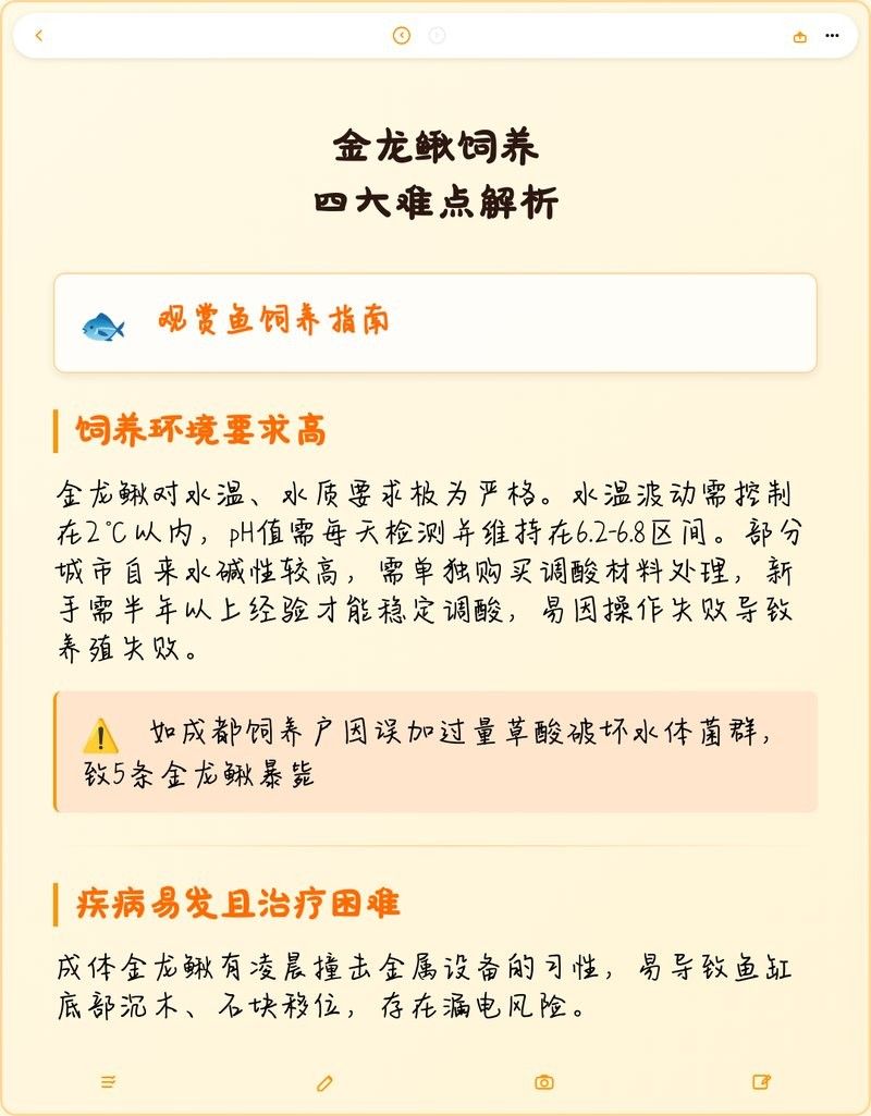 金龍鰍為什么不建議養（不推薦養金龍鰍的原因，不推薦養金龍鰍的原因包括以下幾點） 金龍鰍為什么不建議養（不推薦養金龍鰍的原因，不推薦養金龍鰍的原因包括以下幾點） 觀賞魚百科 第1張