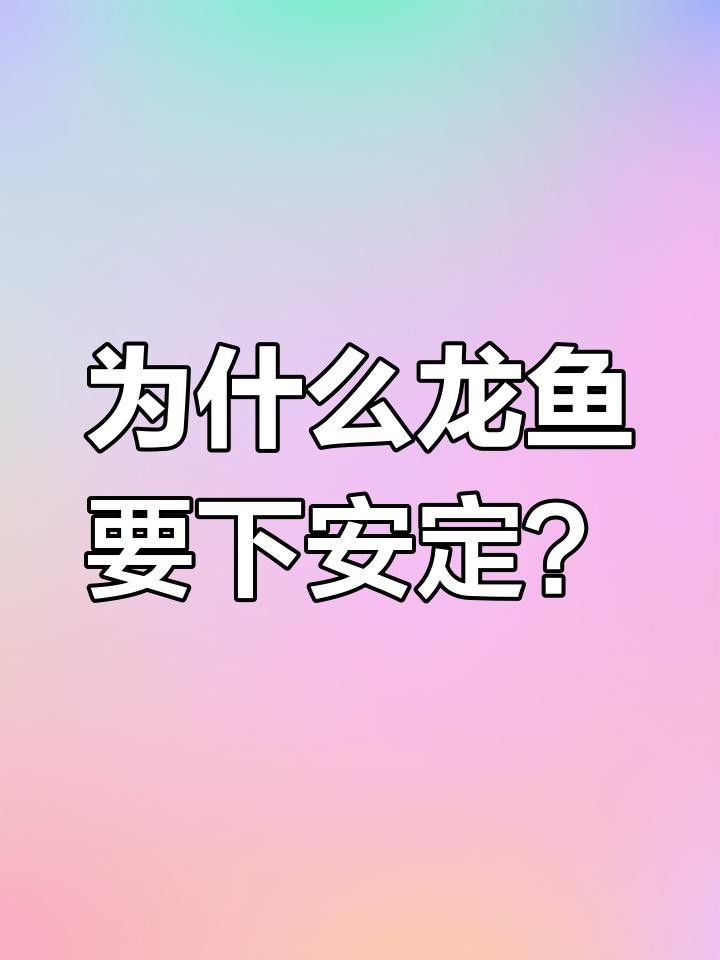 <strong><mark>安定</mark></strong>龍魚(yú)（<strong><mark>安定</mark></strong>龍魚(yú)的飼養(yǎng)方法）