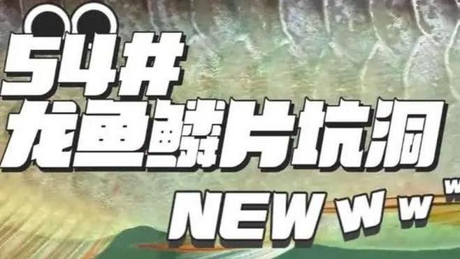 龍魚鱗片上有個小窟窿是什么（龍魚鱗片上的小窟窿會自愈嗎？）