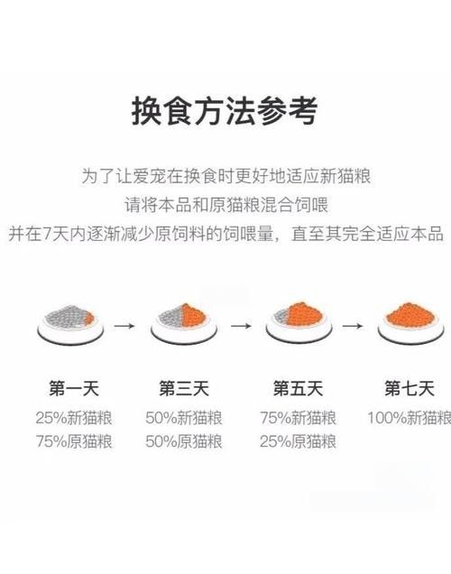 龍貓換糧后應(yīng)該如何科學(xué)喂養(yǎng)？（貓換糧后的科學(xué)喂養(yǎng)是確保它們健康和幸福的關(guān)鍵，以下指導(dǎo)原則）