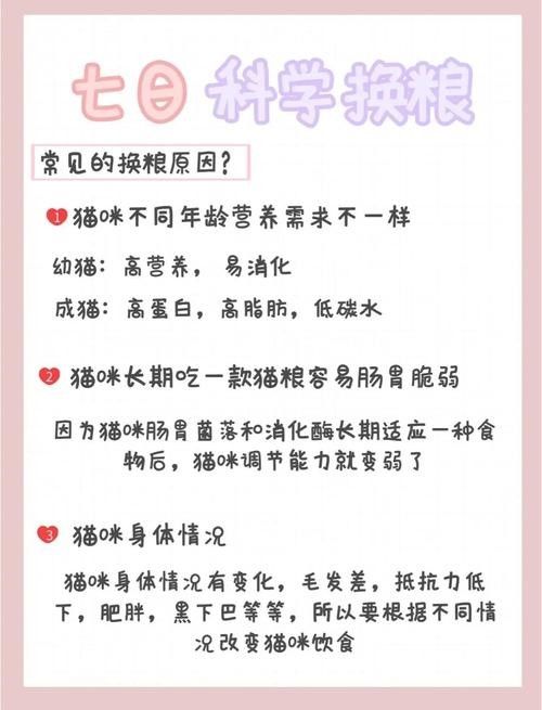 龍貓換糧后應(yīng)該如何科學(xué)喂養(yǎng)？（貓換糧后的科學(xué)喂養(yǎng)是確保它們健康和幸福的關(guān)鍵，以下指導(dǎo)原則）