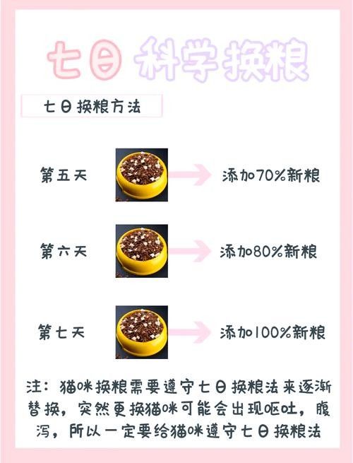 龍貓換糧后應(yīng)該如何科學(xué)喂養(yǎng)？（貓換糧后的科學(xué)喂養(yǎng)是確保它們健康和幸福的關(guān)鍵，以下指導(dǎo)原則）