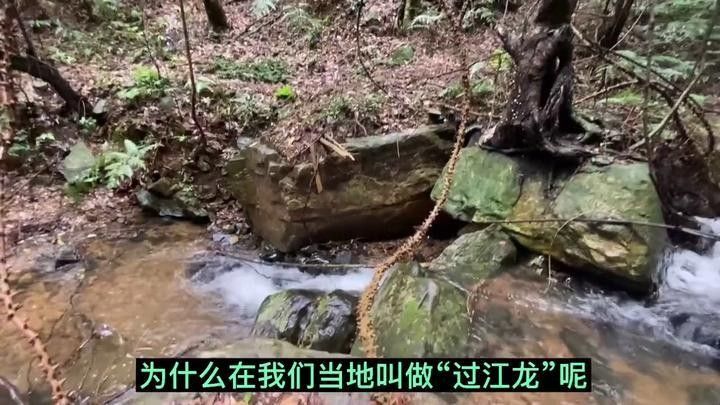 過(guò)江龍是什么龍（劉備夢(mèng)見(jiàn)一位神人告訴他：“過(guò)江龍”是傳說(shuō)中的過(guò)江龍）