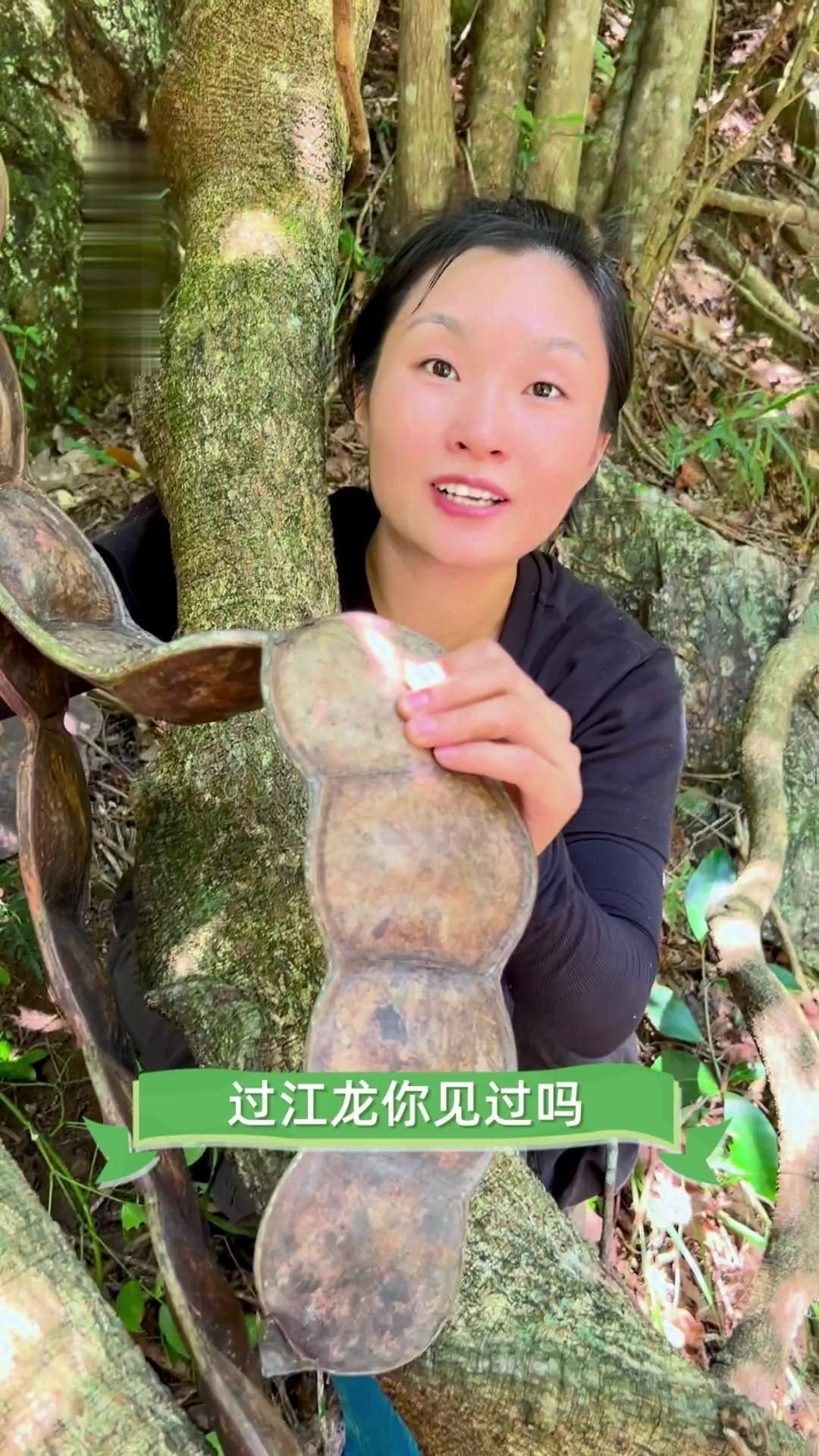 過(guò)江龍是什么龍（劉備夢(mèng)見(jiàn)一位神人告訴他：“過(guò)江龍”是傳說(shuō)中的過(guò)江龍）