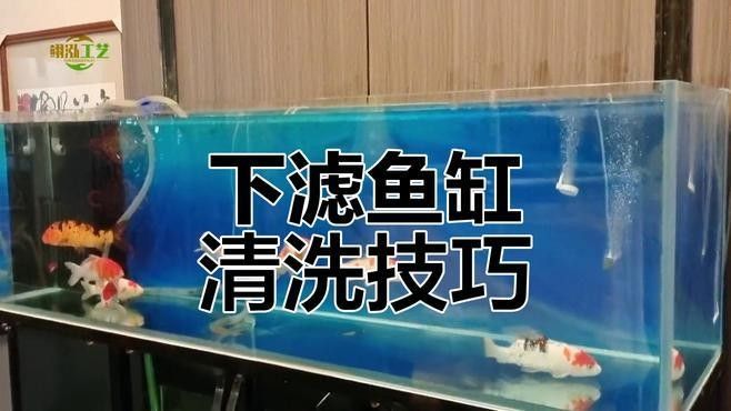 底濾缸清洗時需要注意什么？（家用魚缸如何正確清洗底濾魚缸的維護有那么難嗎） 底濾缸清洗時需要注意什么？（家用魚缸如何正確清洗底濾魚缸的維護有那么難嗎） 龍魚百科 第3張