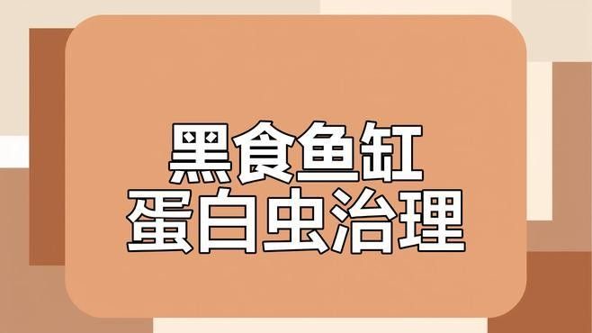 底濾缸清洗時需要注意什么？（家用魚缸如何正確清洗底濾魚缸的維護有那么難嗎） 底濾缸清洗時需要注意什么？（家用魚缸如何正確清洗底濾魚缸的維護有那么難嗎） 龍魚百科 第4張