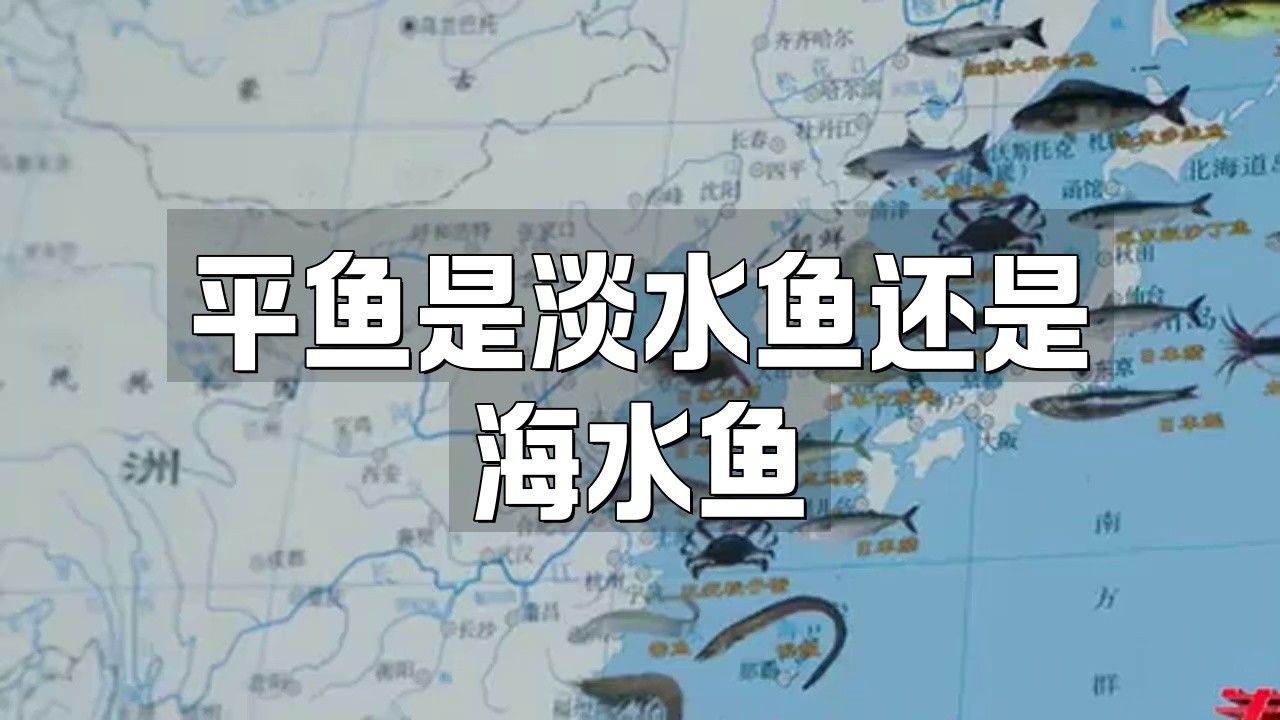 平魚是哪里產(chǎn)的（平魚是深海魚嗎）