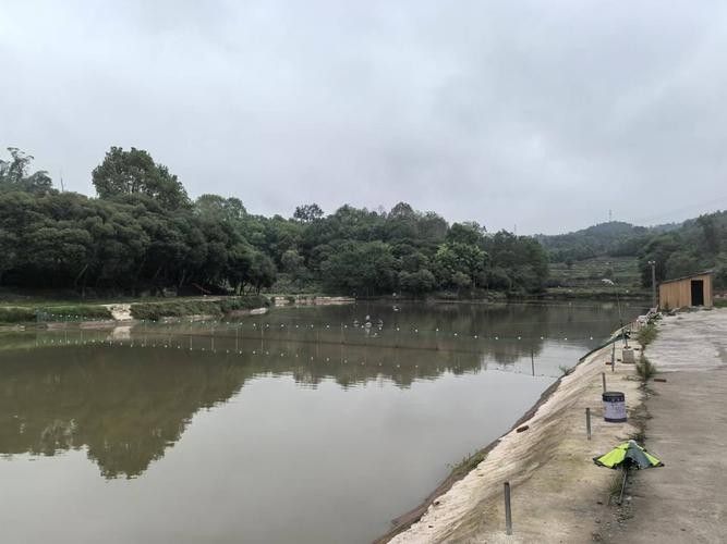 社旗釣魚點(中國湖北荊州社旗釣魚點位于中國湖北省荊州市監利縣) 觀賞魚百科 第3張 社旗釣魚點(中國湖北荊州社旗釣魚點位于中國湖北省荊州市監利縣) 社旗釣魚點(中國湖北荊州社旗釣魚點位于中國湖北省荊州市監利縣) 觀賞魚百科 第3張
