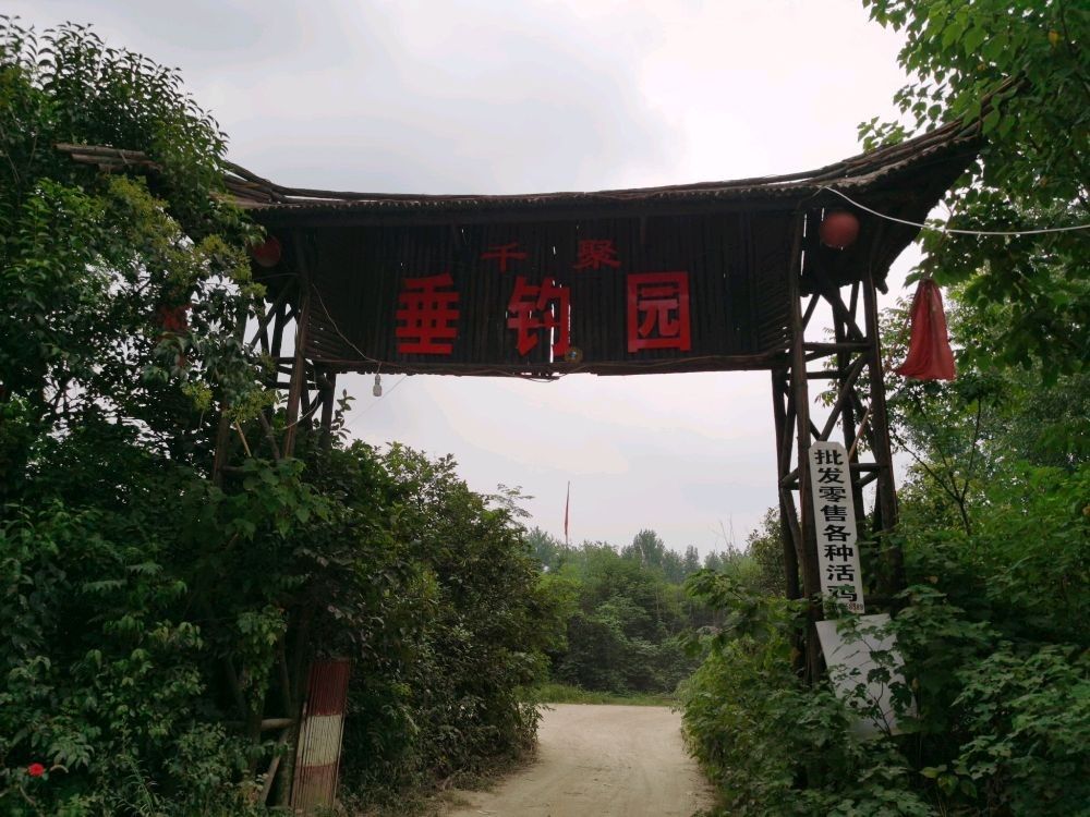 社旗釣魚點（中國湖北荊州社旗釣魚點位于中國湖北省荊州市監利縣） 社旗釣魚點（中國湖北荊州社旗釣魚點位于中國湖北省荊州市監利縣） 觀賞魚百科 第7張