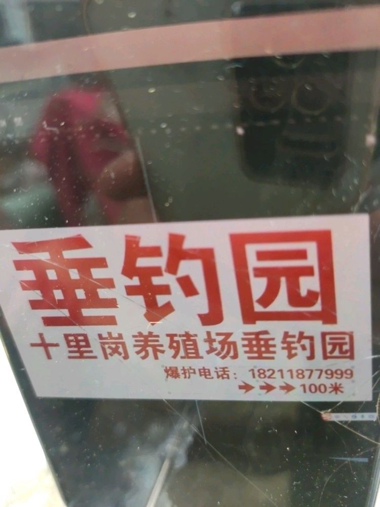 社旗釣魚點（中國湖北荊州社旗釣魚點位于中國湖北省荊州市監利縣） 社旗釣魚點（中國湖北荊州社旗釣魚點位于中國湖北省荊州市監利縣） 觀賞魚百科 第8張