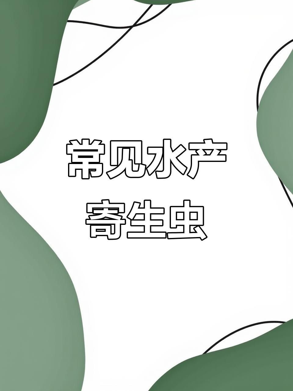 魚鰓寄生蟲（春季魚鰓寄生蟲中華蚤如何防治這些方法你必須知道） 魚鰓寄生蟲（春季魚鰓寄生蟲中華蚤如何防治這些方法你必須知道） 觀賞魚百科 第4張