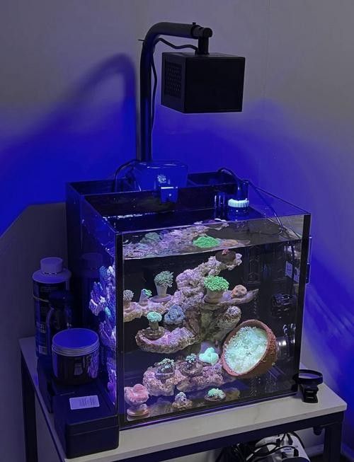 6000k魚缸照明燈（6000k色溫的魚缸照明燈） 6000k魚缸照明燈（6000k色溫的魚缸照明燈） 觀賞魚百科 第2張