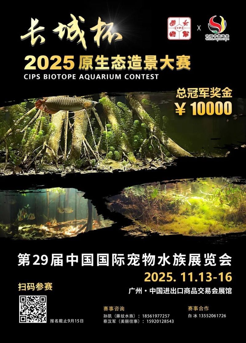 2025長城杯龍魚大賽品牌（2025“長城杯”世界龍魚錦標賽報名開啟！）