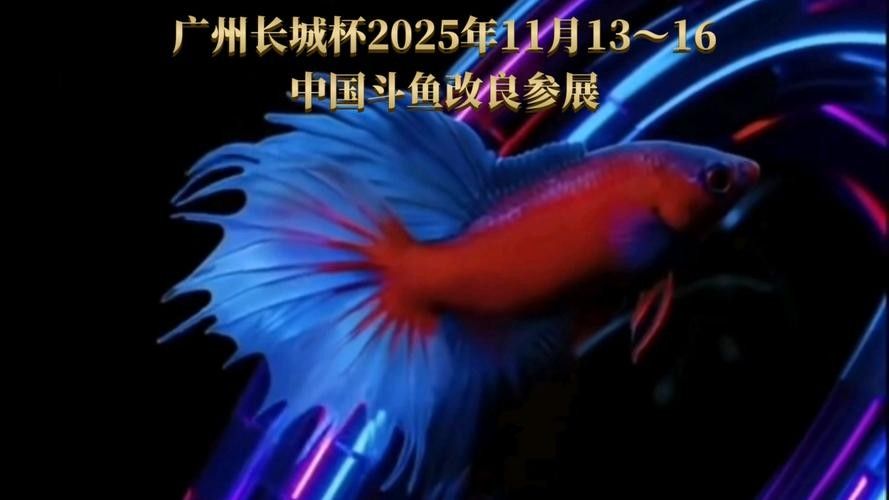 2025長城杯龍魚大賽品牌（2025“長城杯”世界龍魚錦標賽報名開啟！）