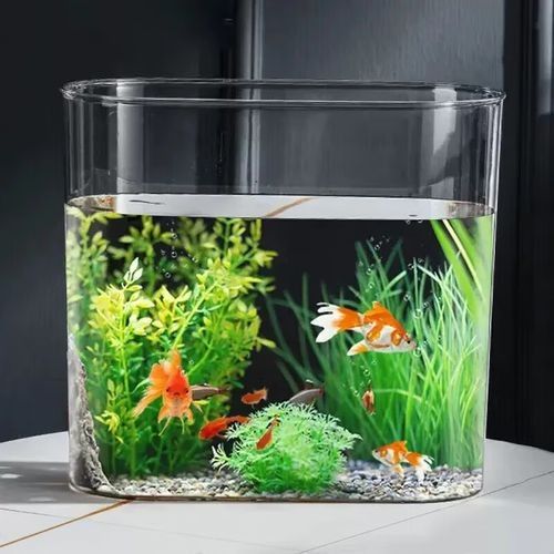 魚缸,水鴨,彩蝶,冠麟怎么選（魚缸、水鴨、彩蝶、冠麟三個魚缸品牌的對比信息）