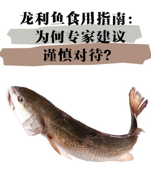 龍利魚(yú)的價(jià)格是多少？（青春山外揭開(kāi)“龍利魚(yú)”物美價(jià)廉的真相央視20分鐘報(bào)道） 龍利魚(yú)的價(jià)格是多少？（青春山外揭開(kāi)“龍利魚(yú)”物美價(jià)廉的真相央視20分鐘報(bào)道） 龍魚(yú)百科 第4張