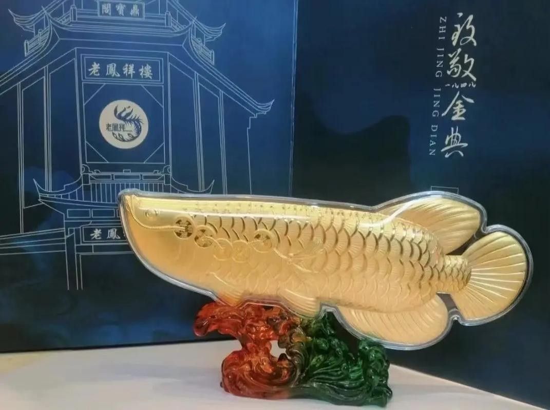 老鳳祥金龍魚有哪些款式可選（老鳳祥金龍魚款式介紹） 老鳳祥金龍魚有哪些款式可選（老鳳祥金龍魚款式介紹） 龍魚百科 第5張