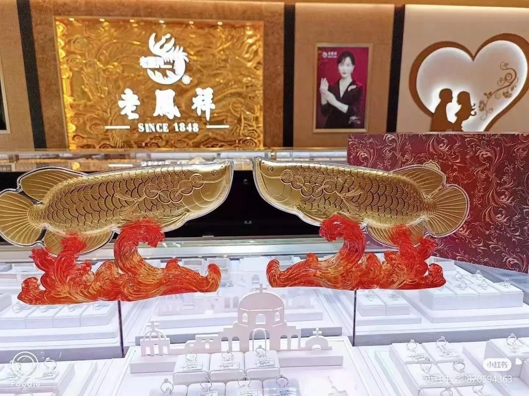 老鳳祥金龍魚有哪些款式可選（老鳳祥金龍魚款式介紹） 老鳳祥金龍魚有哪些款式可選（老鳳祥金龍魚款式介紹） 龍魚百科 第6張