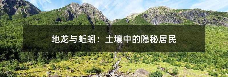 蚯蚓和地龍有什么區別（地龍和蚯蚓是一樣的嗎） 蚯蚓和地龍有什么區別（地龍和蚯蚓是一樣的嗎） 觀賞魚百科 第4張
