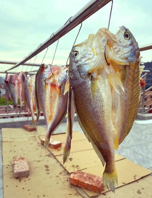 溫嶺特產龍頭魚干（浙江溫嶺特產龍頭魚干排行榜京東聽龍頭魚干有哪些品牌推薦） 溫嶺特產龍頭魚干（浙江溫嶺特產龍頭魚干排行榜京東聽龍頭魚干有哪些品牌推薦） 觀賞魚百科 第3張
