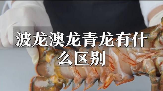 波龍 澳龍 紅龍 青龍（探索龍的奧秘：波龍、澳龍、紅龍、青龍）