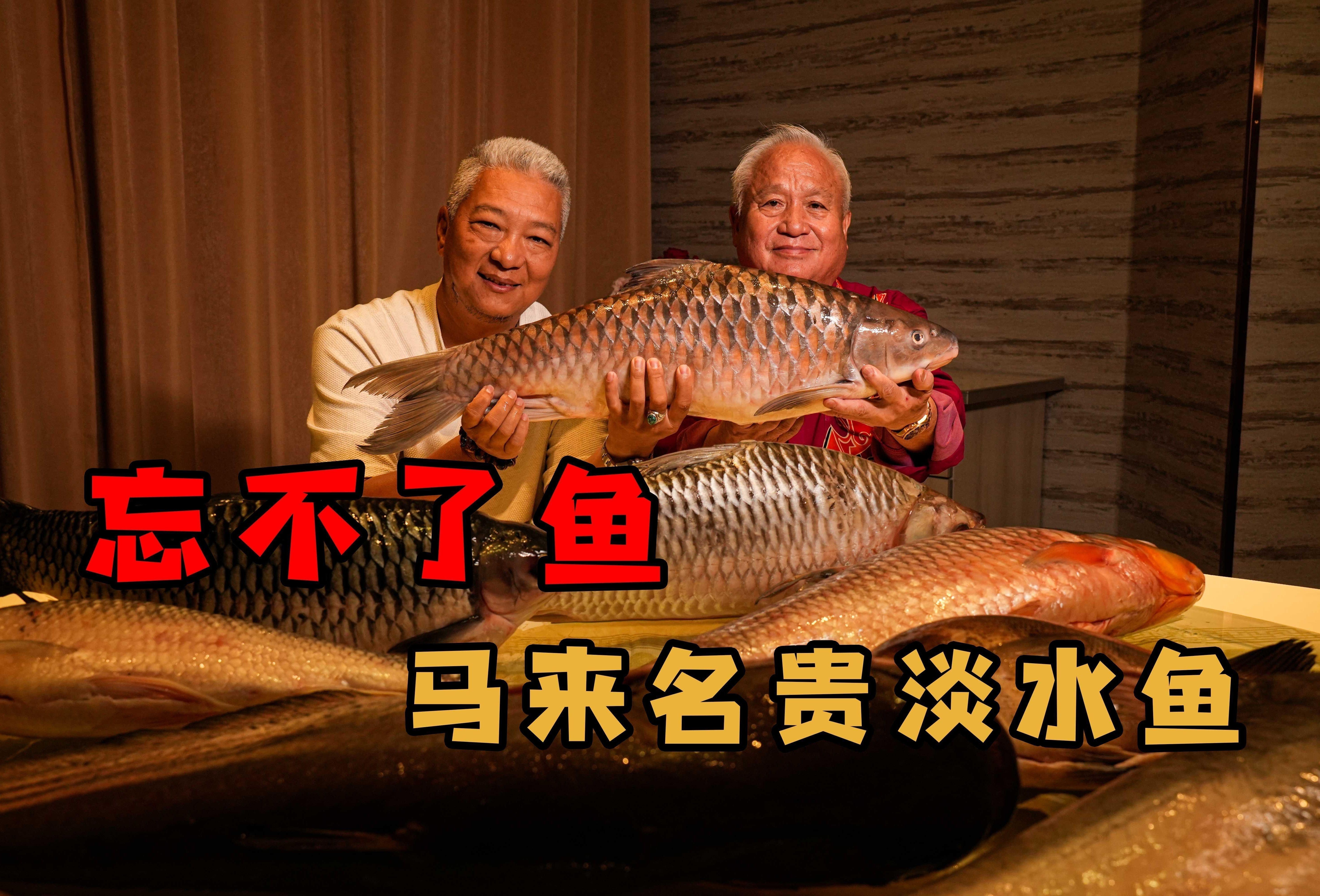 馬來西亞忘不了魚常見疾病（馬來西亞忘不了魚常見疾病問題及其對養殖業的影響） 馬來西亞忘不了魚常見疾病（馬來西亞忘不了魚常見疾病問題及其對養殖業的影響） 觀賞魚百科 第1張