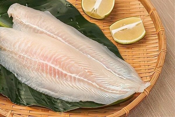 龍利魚是哪里的魚（龍利魚:海魚還是淡水魚的真相） 龍利魚是哪里的魚（龍利魚:海魚還是淡水魚的真相） 觀賞魚百科 第6張