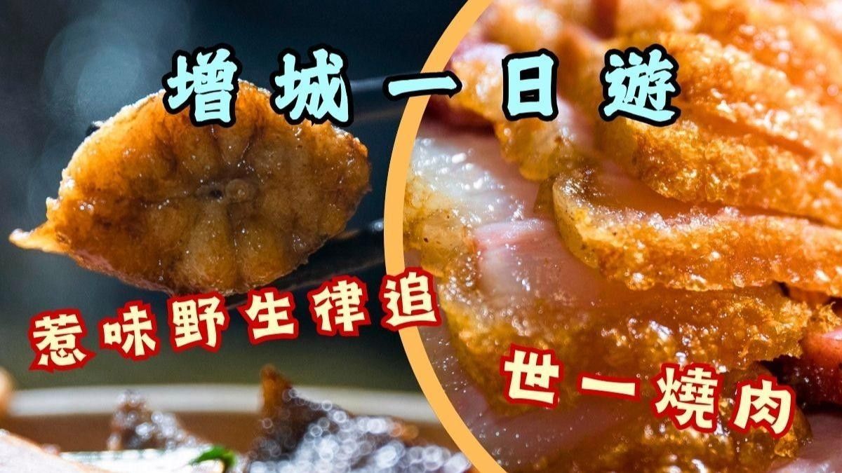 增城海鮮碼頭（增城海鮮碼頭哪個價格最實(shí)惠增城海鮮碼頭哪個價格最實(shí)惠） 增城海鮮碼頭（增城海鮮碼頭哪個價格最實(shí)惠增城海鮮碼頭哪個價格最實(shí)惠） 觀賞魚百科 第4張